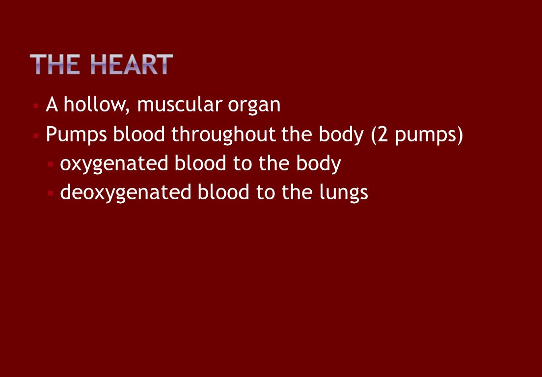  A hollow, muscular organ  Pumps blood throughout the body (2 pumps)  oxygenated blood to the body  deoxygenated blood to the lungs
