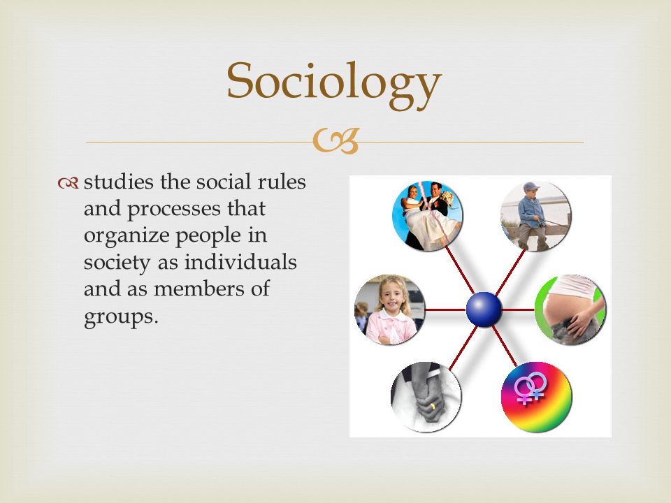  Sociology  studies the social rules and processes that organize people in society as individuals and as members of groups.