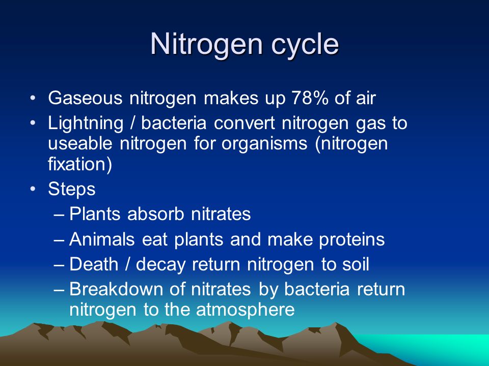 Nitrogen cycle Gaseous nitrogen makes up 78% of air Lightning / bacteria convert nitrogen gas to useable nitrogen for organisms (nitrogen fixation) Steps –Plants absorb nitrates –Animals eat plants and make proteins –Death / decay return nitrogen to soil –Breakdown of nitrates by bacteria return nitrogen to the atmosphere