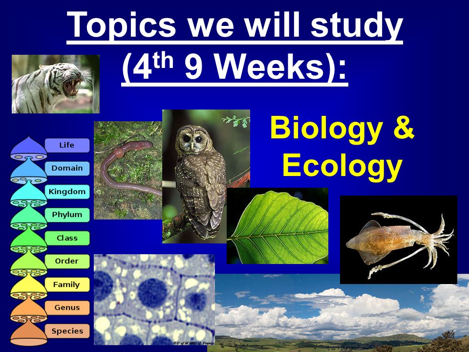 Biology & Ecology Topics we will study (4 th 9 Weeks):