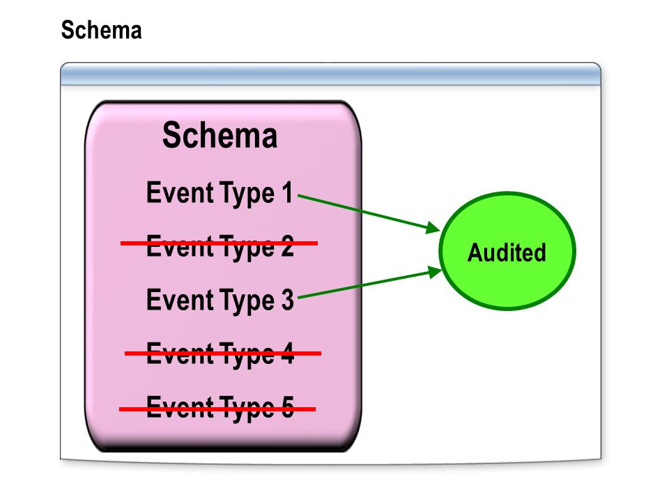 Schema Event Type 1 Event Type 2 Event Type 3 Event Type 4 Event Type 5 Audited