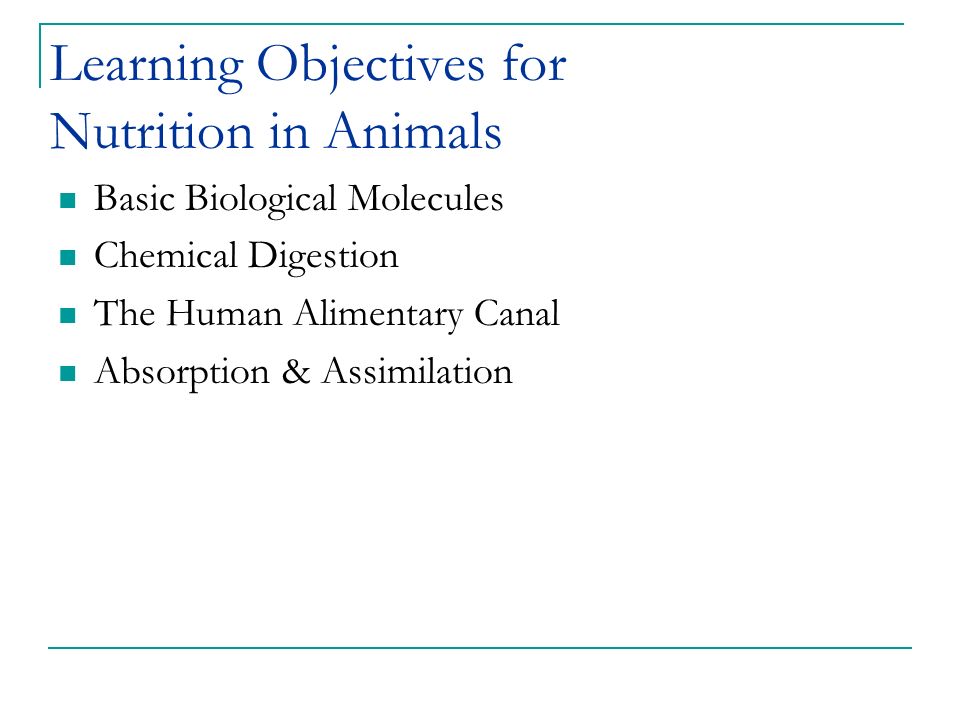Nutrition in Animals. Learning Objectives for Nutrition in Animals Basic  Biological Molecules Chemical Digestion The Human Alimentary Canal  Absorption. - ppt download