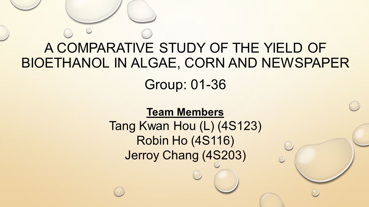 A COMPARATIVE STUDY OF THE YIELD OF BIOETHANOL IN ALGAE, CORN AND ...