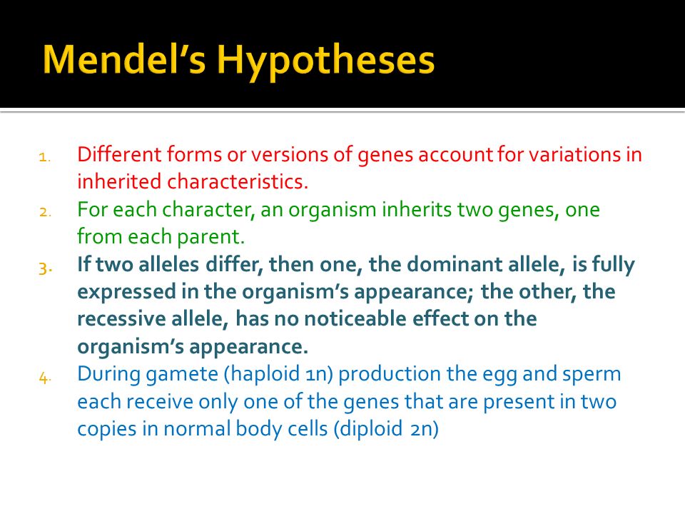 1. Different forms or versions of genes account for variations in inherited characteristics.