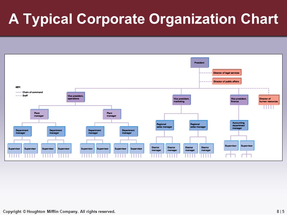 Typical Organizational Chart Of A Company