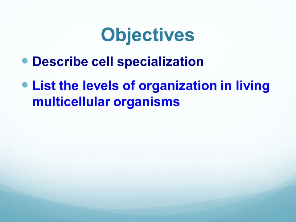 Multicellular Anization Objectives Describe Cell Specialization List The Levels Of Anization In Living Multicellular Anisms Ppt Download