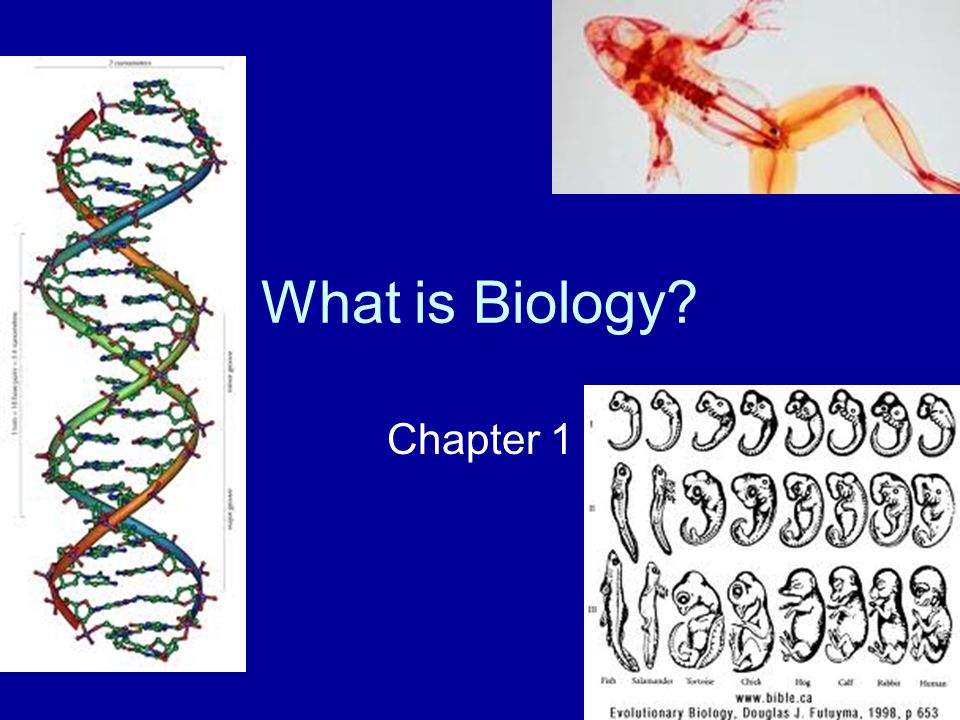 What Is Biology Chapter 1 Where Did Plants And Animals