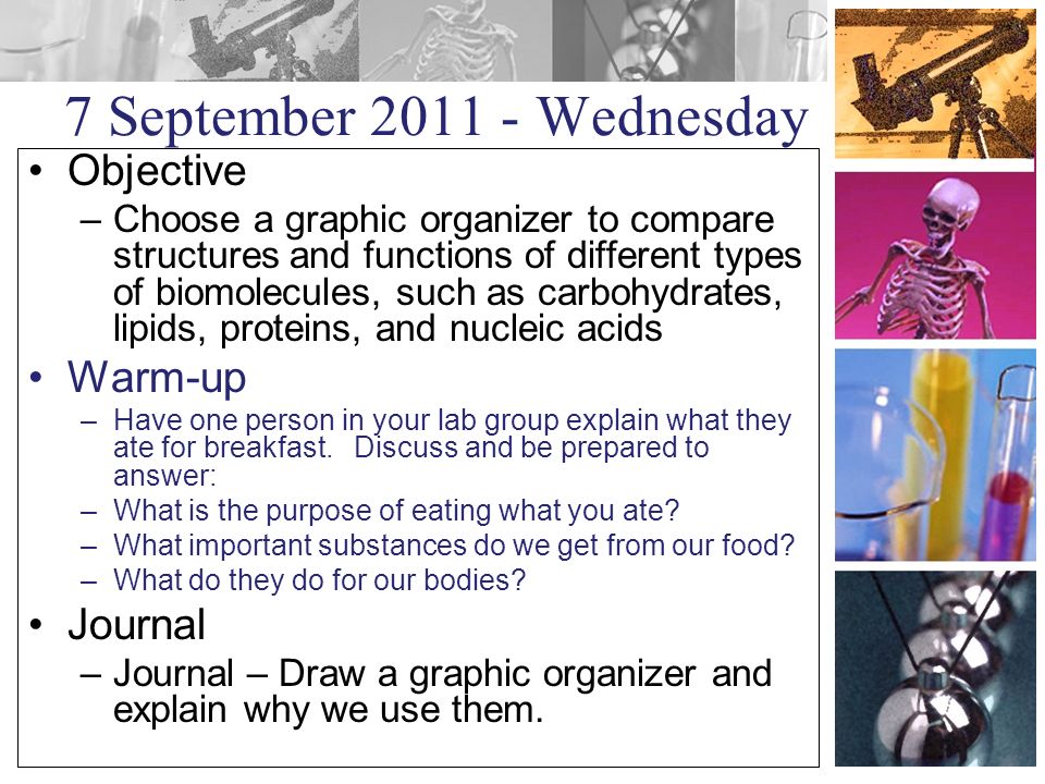 7 September Wednesday Objective –Choose a graphic organizer to compare structures and functions of different types of biomolecules, such as carbohydrates, lipids, proteins, and nucleic acids Warm-up –Have one person in your lab group explain what they ate for breakfast.
