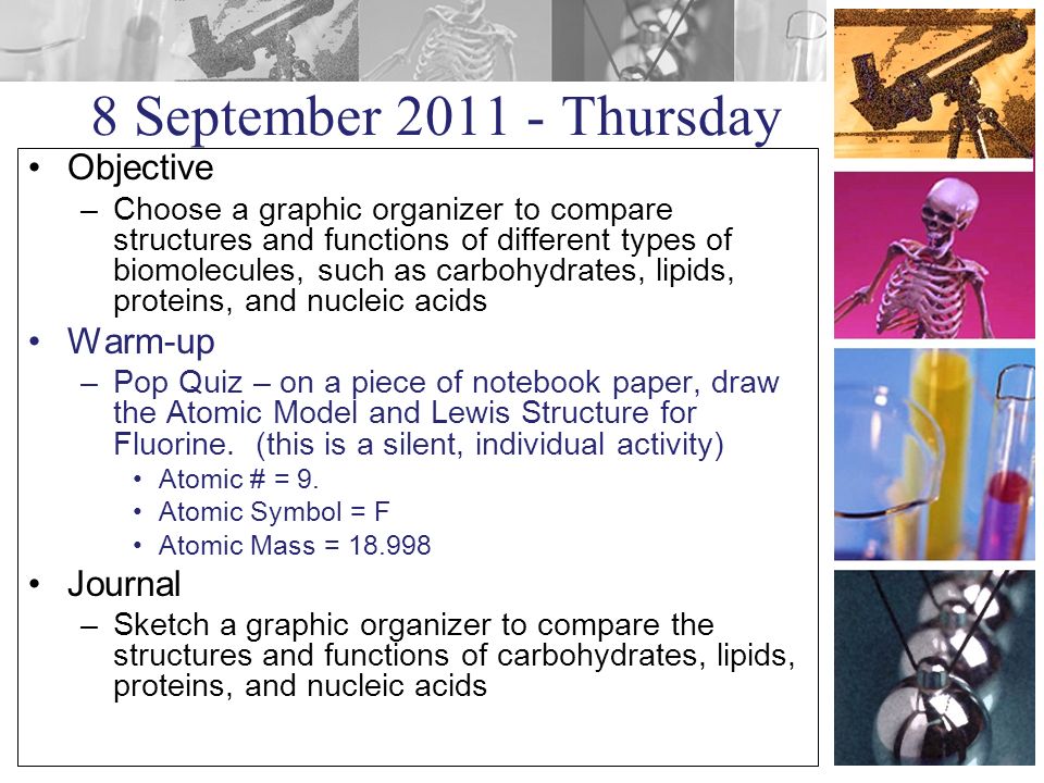 8 September Thursday Objective –Choose a graphic organizer to compare structures and functions of different types of biomolecules, such as carbohydrates, lipids, proteins, and nucleic acids Warm-up –Pop Quiz – on a piece of notebook paper, draw the Atomic Model and Lewis Structure for Fluorine.