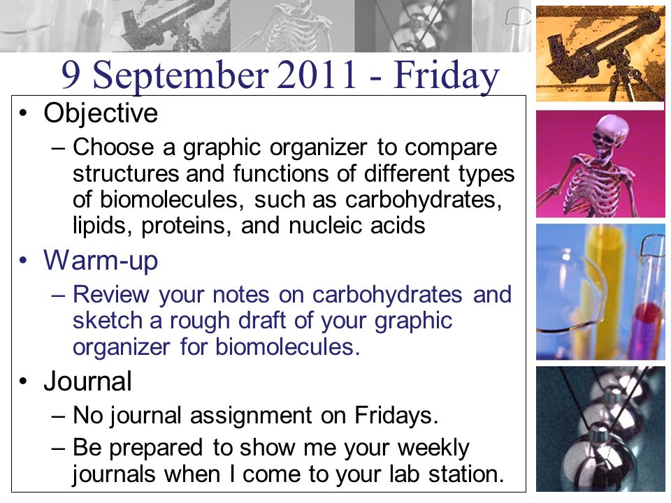 9 September Friday Objective –Choose a graphic organizer to compare structures and functions of different types of biomolecules, such as carbohydrates, lipids, proteins, and nucleic acids Warm-up –Review your notes on carbohydrates and sketch a rough draft of your graphic organizer for biomolecules.