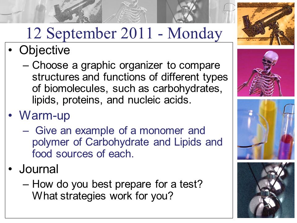 12 September Monday Objective –Choose a graphic organizer to compare structures and functions of different types of biomolecules, such as carbohydrates, lipids, proteins, and nucleic acids.