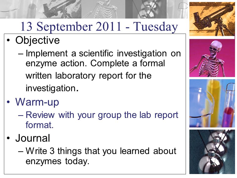 13 September Tuesday Objective –Implement a scientific investigation on enzyme action.