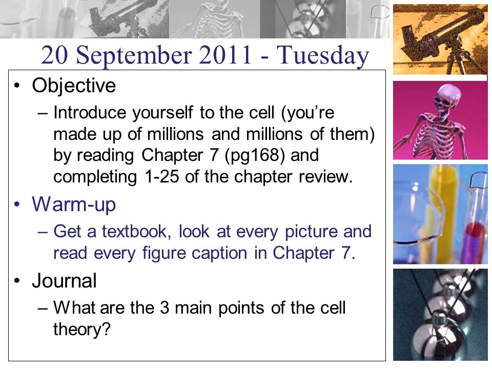 20 September Tuesday Objective –Introduce yourself to the cell (you’re made up of millions and millions of them) by reading Chapter 7 (pg168) and completing 1-25 of the chapter review.
