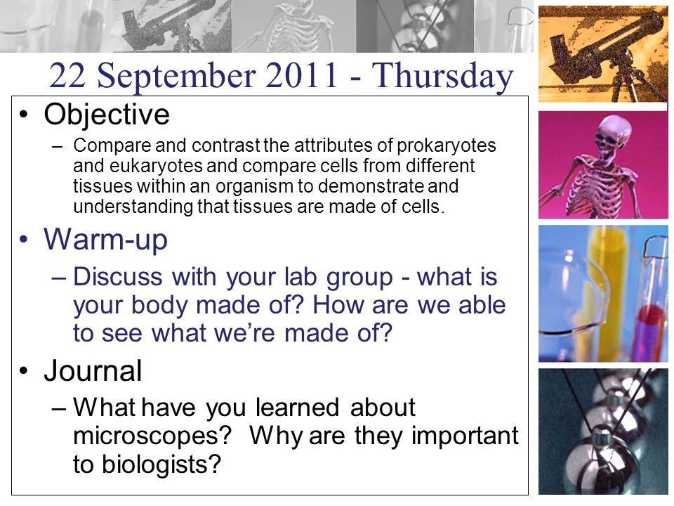 22 September Thursday Objective –Compare and contrast the attributes of prokaryotes and eukaryotes and compare cells from different tissues within an organism to demonstrate and understanding that tissues are made of cells.