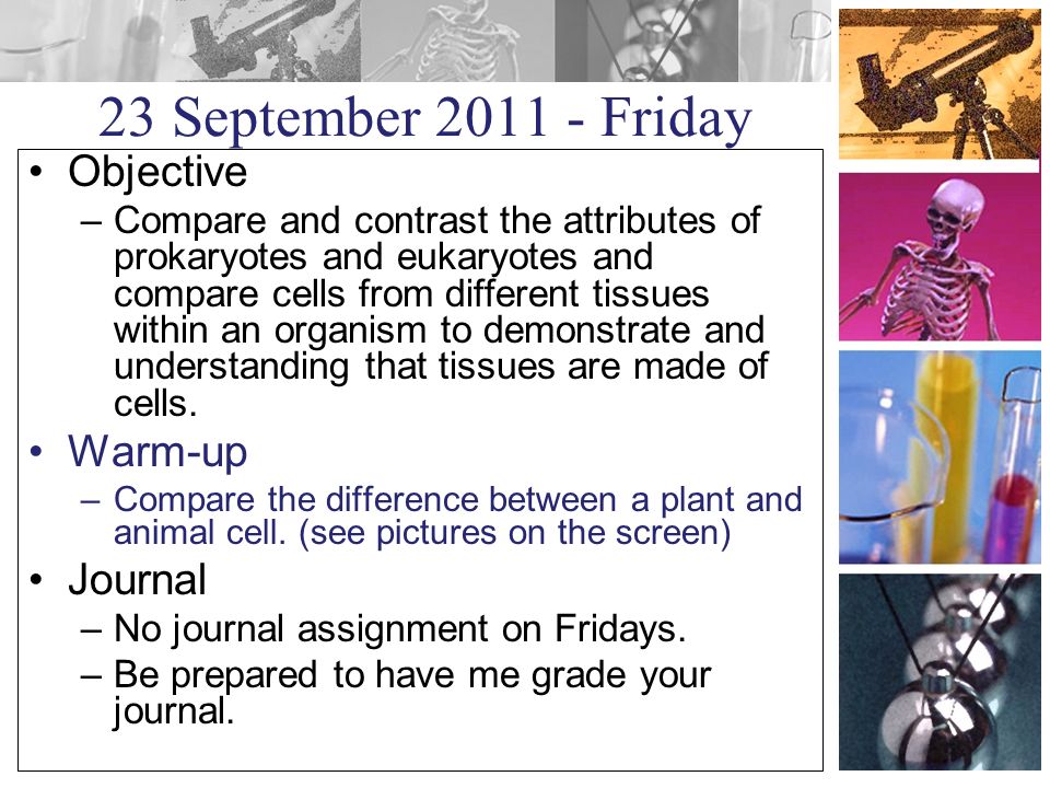 23 September Friday Objective –Compare and contrast the attributes of prokaryotes and eukaryotes and compare cells from different tissues within an organism to demonstrate and understanding that tissues are made of cells.