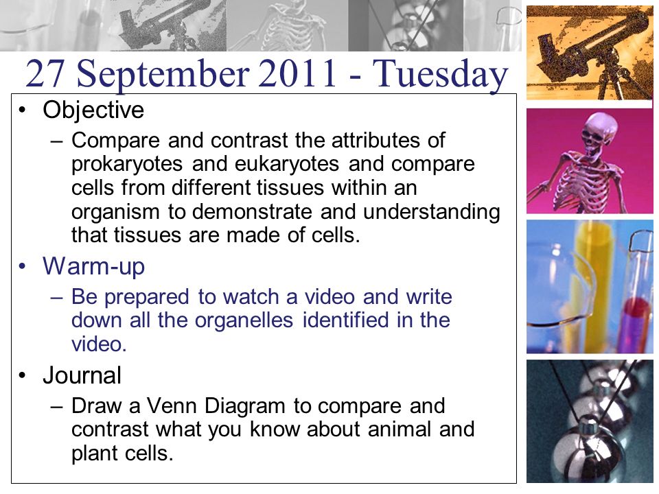 27 September Tuesday Objective –Compare and contrast the attributes of prokaryotes and eukaryotes and compare cells from different tissues within an organism to demonstrate and understanding that tissues are made of cells.
