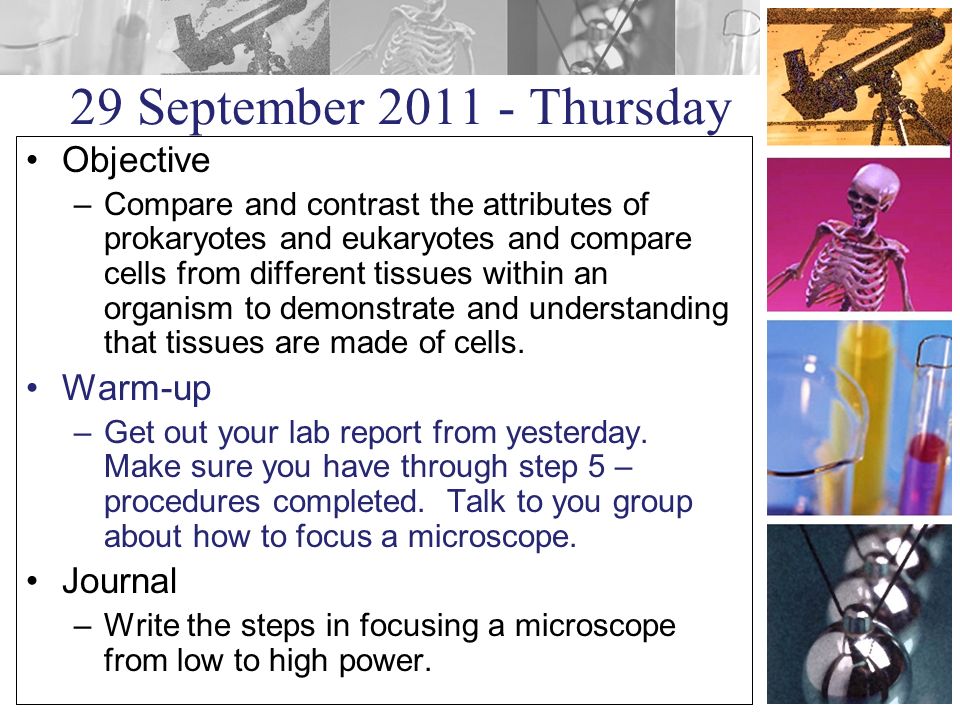 29 September Thursday Objective –Compare and contrast the attributes of prokaryotes and eukaryotes and compare cells from different tissues within an organism to demonstrate and understanding that tissues are made of cells.
