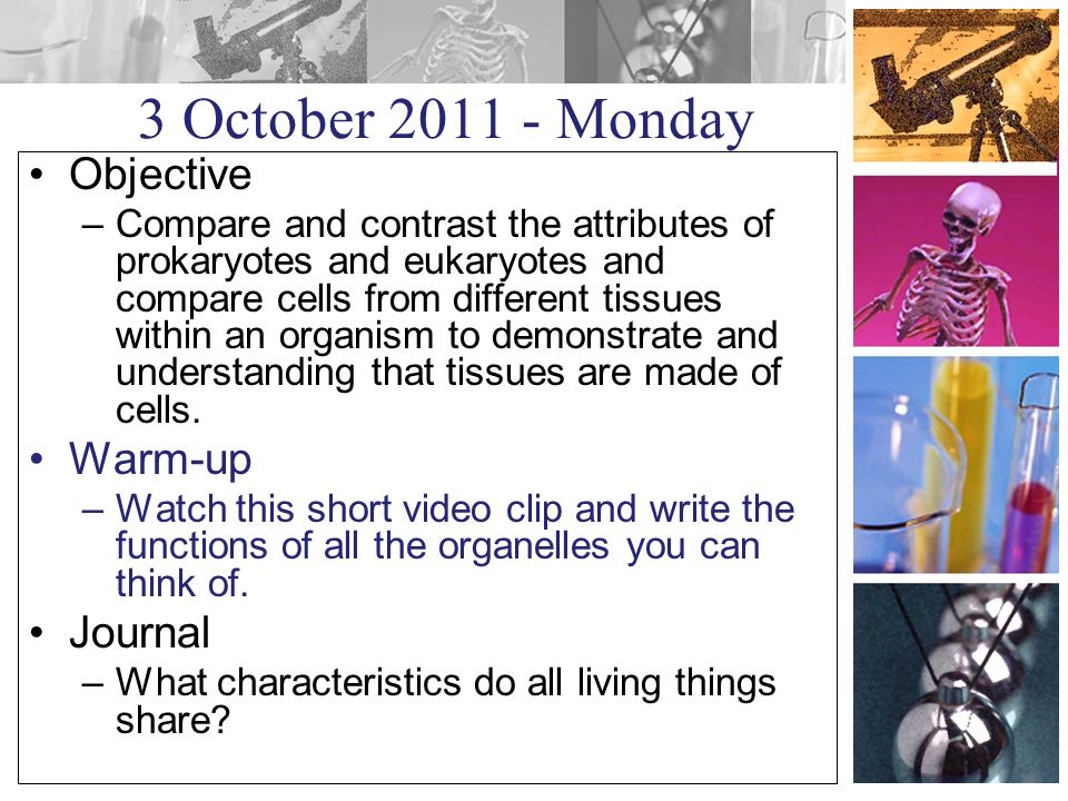 3 October Monday Objective –Compare and contrast the attributes of prokaryotes and eukaryotes and compare cells from different tissues within an organism to demonstrate and understanding that tissues are made of cells.