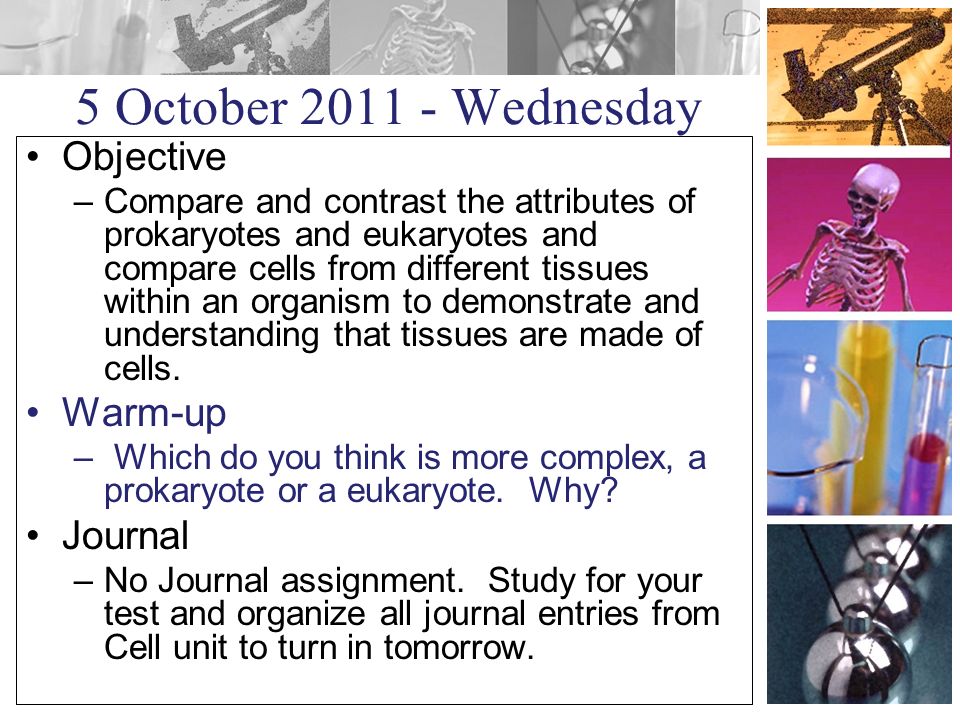 5 October Wednesday Objective –Compare and contrast the attributes of prokaryotes and eukaryotes and compare cells from different tissues within an organism to demonstrate and understanding that tissues are made of cells.