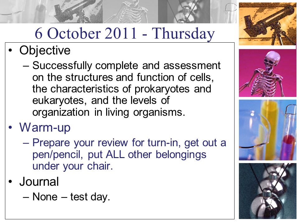 6 October Thursday Objective –Successfully complete and assessment on the structures and function of cells, the characteristics of prokaryotes and eukaryotes, and the levels of organization in living organisms.