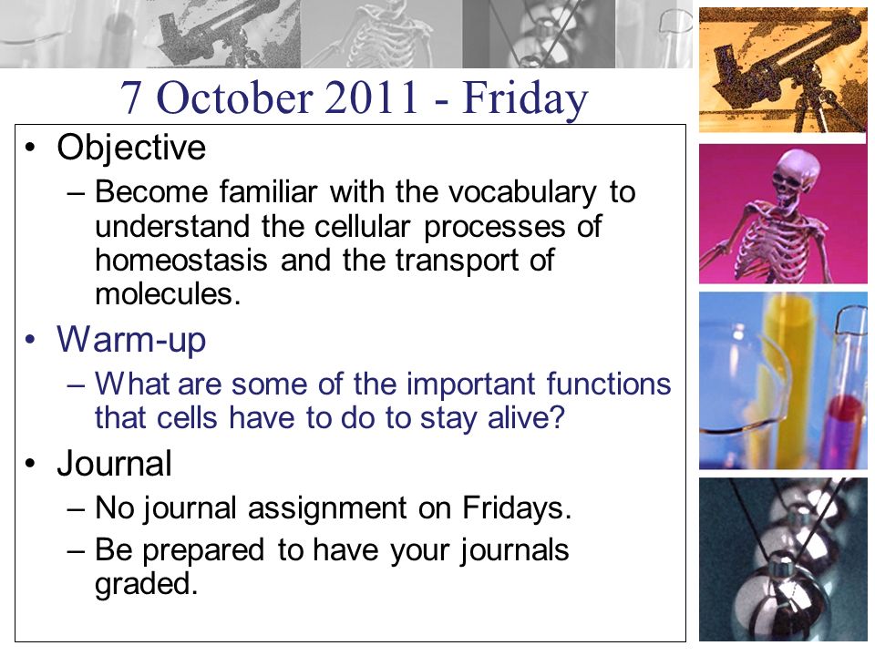 7 October Friday Objective –Become familiar with the vocabulary to understand the cellular processes of homeostasis and the transport of molecules.