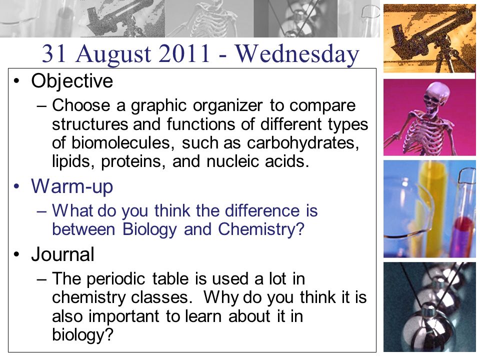 31 August Wednesday Objective –Choose a graphic organizer to compare structures and functions of different types of biomolecules, such as carbohydrates, lipids, proteins, and nucleic acids.