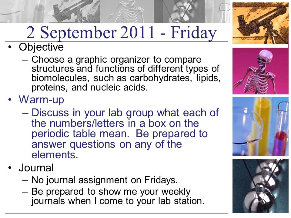 2 September Friday Objective –Choose a graphic organizer to compare structures and functions of different types of biomolecules, such as carbohydrates, lipids, proteins, and nucleic acids.