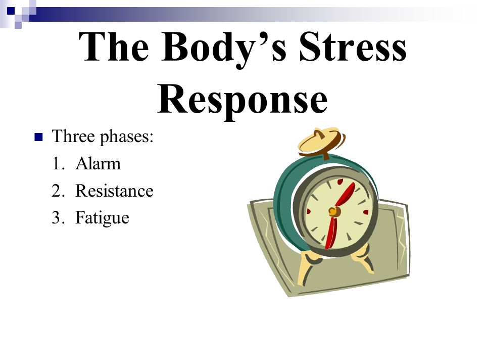 The Body’s Stress Response Three phases: 1. Alarm 2. Resistance 3. Fatigue