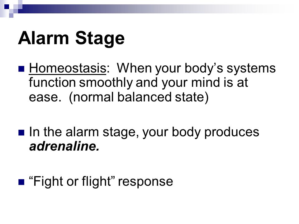 Alarm Stage Homeostasis: When your body’s systems function smoothly and your mind is at ease.