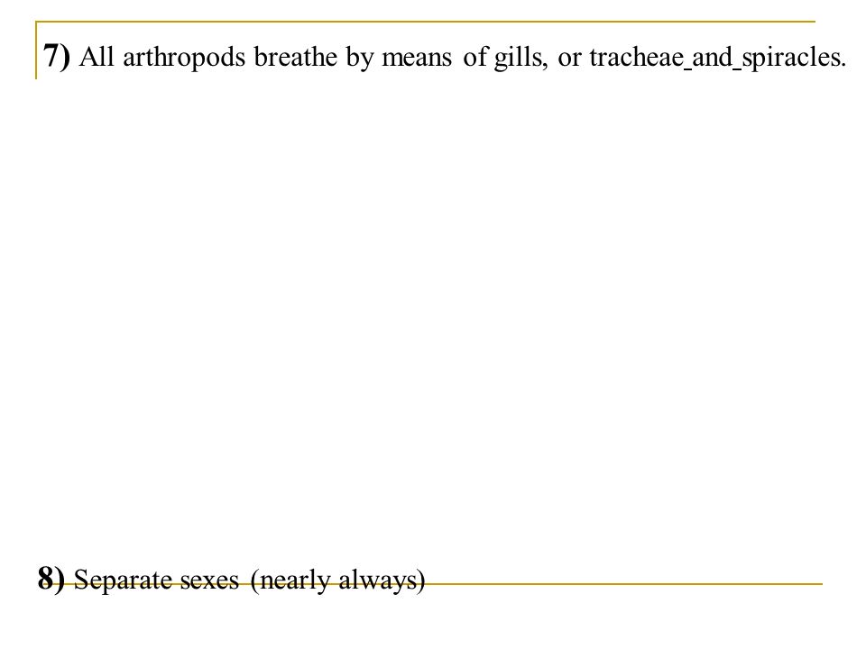 7) All arthropods breathe by means of gills, or tracheae and spiracles.