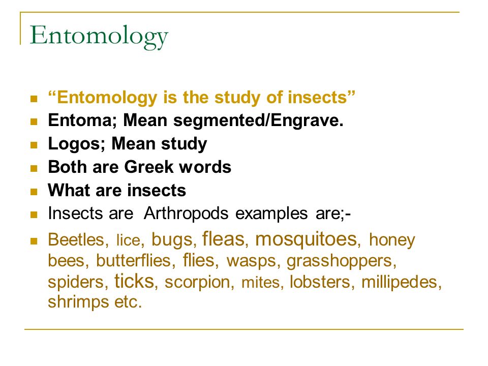 Entomology Entomology is the study of insects Entoma; Mean segmented/Engrave.