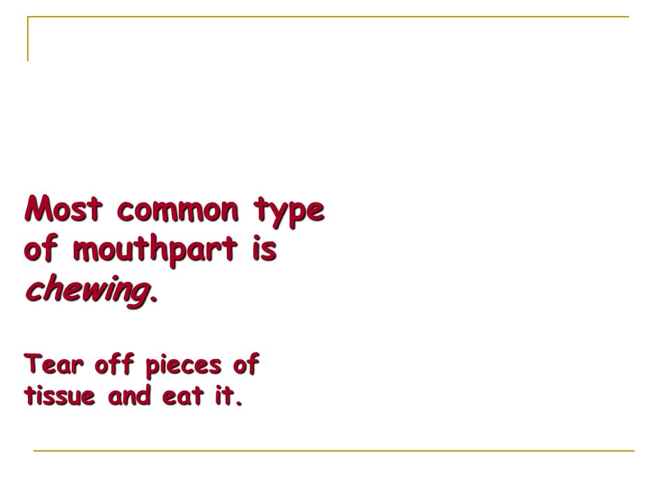 Most common type of mouthpart is chewing. Tear off pieces of tissue and eat it.