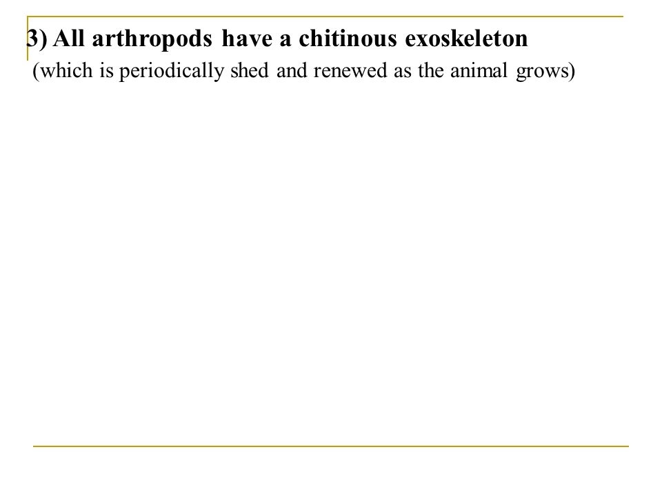3) All arthropods have a chitinous exoskeleton (which is periodically shed and renewed as the animal grows)