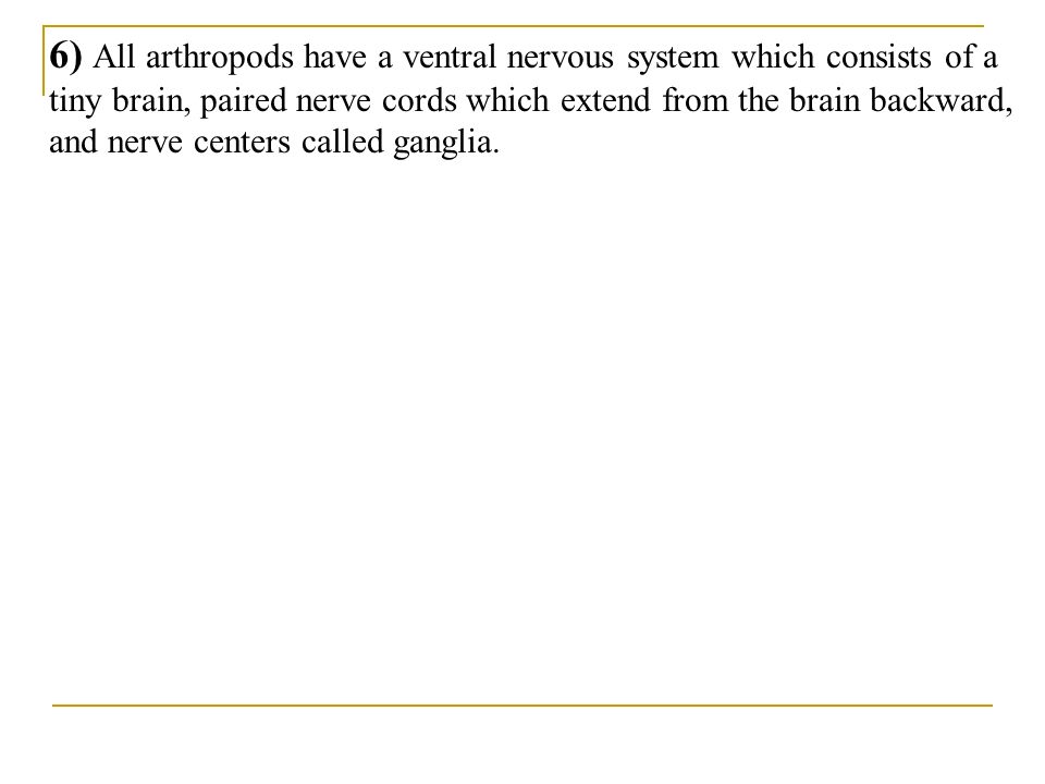 6) All arthropods have a ventral nervous system which consists of a tiny brain, paired nerve cords which extend from the brain backward, and nerve centers called ganglia.
