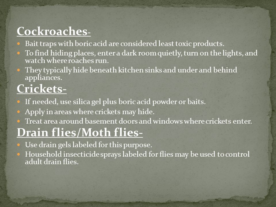 Cockroaches - Bait traps with boric acid are considered least toxic products.