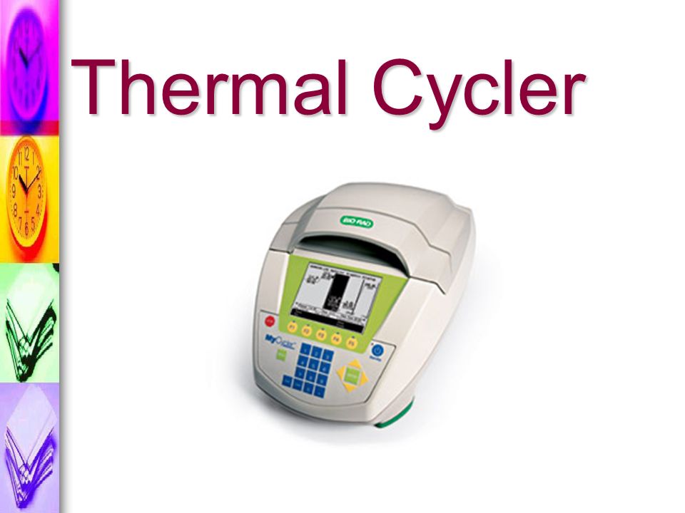 Thermal Cycler