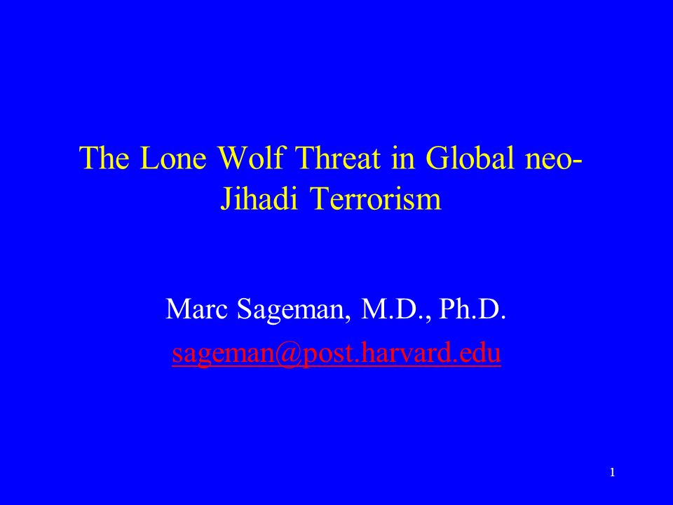 the lone wolf threat