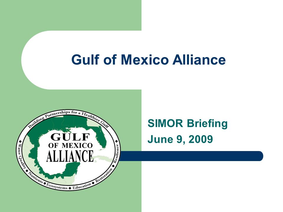 Gulf of Mexico Alliance SIMOR Briefing June 9, 2009