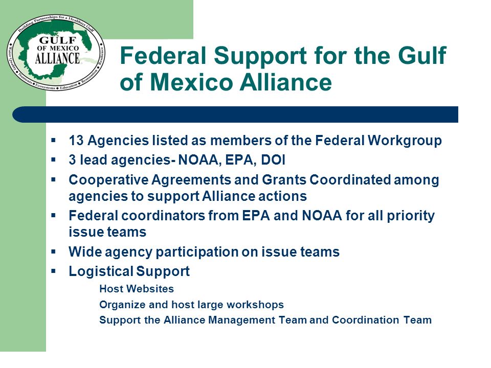Federal Support for the Gulf of Mexico Alliance  13 Agencies listed as members of the Federal Workgroup  3 lead agencies- NOAA, EPA, DOI  Cooperative Agreements and Grants Coordinated among agencies to support Alliance actions  Federal coordinators from EPA and NOAA for all priority issue teams  Wide agency participation on issue teams  Logistical Support Host Websites Organize and host large workshops Support the Alliance Management Team and Coordination Team