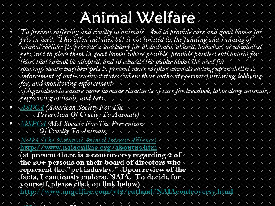 Animal Rights vs. Animal Welfare. Main Idea… What is the difference between  animal rights and animal welfare? - ppt download