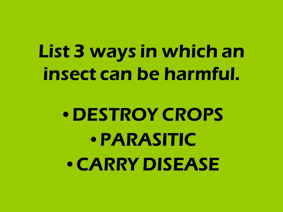 List 3 ways in which an insect can be harmful. DESTROY CROPS PARASITIC CARRY DISEASE