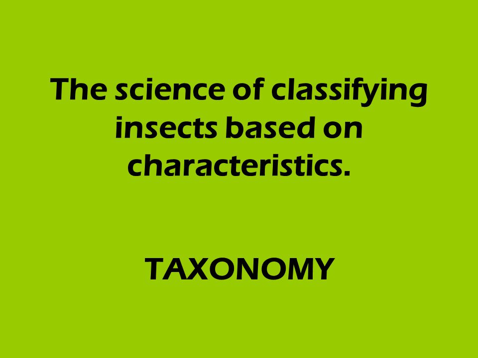 The science of classifying insects based on characteristics. TAXONOMY