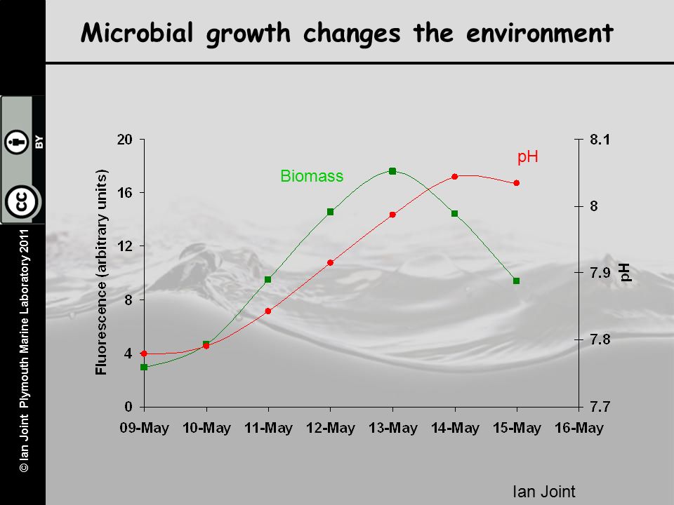 Microbial growth changes the environment pH Biomass Ian Joint