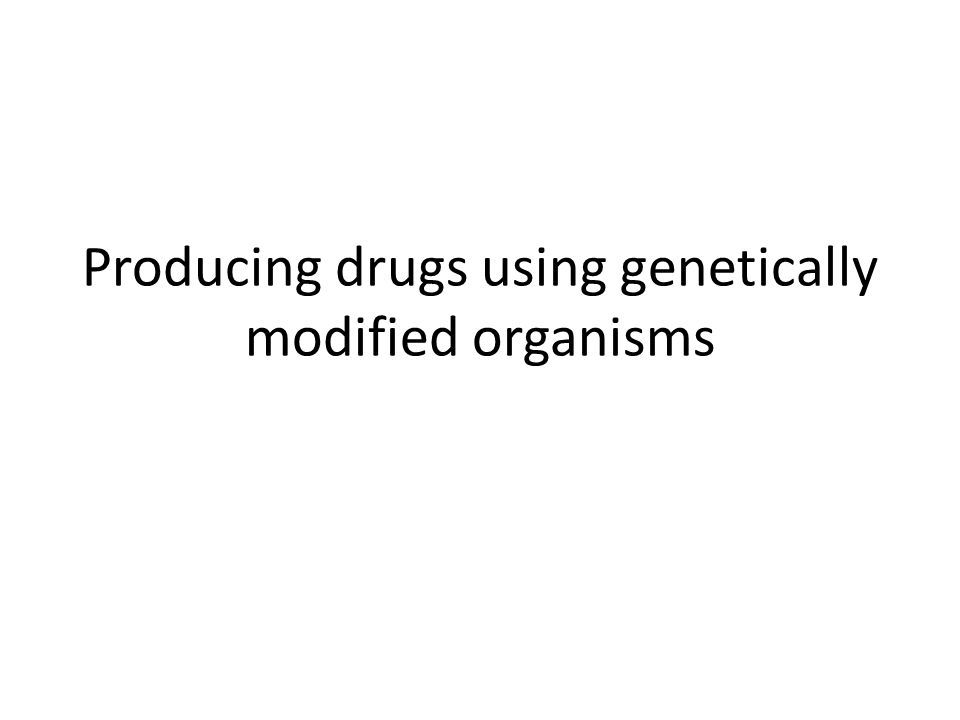 Producing drugs using genetically modified organisms