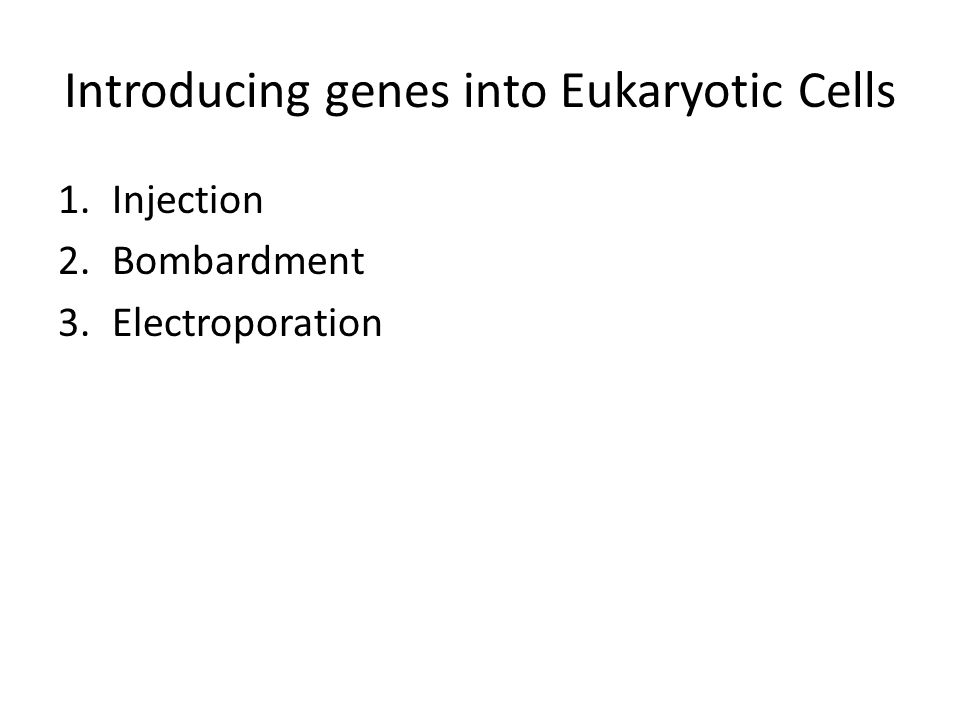 Introducing genes into Eukaryotic Cells 1.Injection 2.Bombardment 3.Electroporation