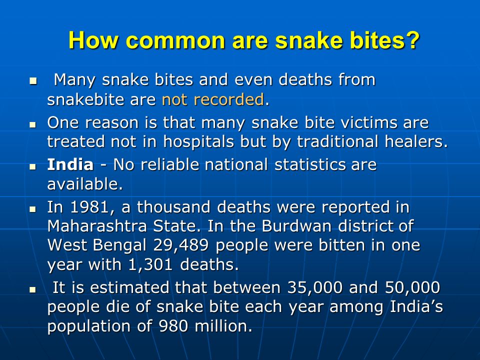 How common are snake bites. How common are snake bites.