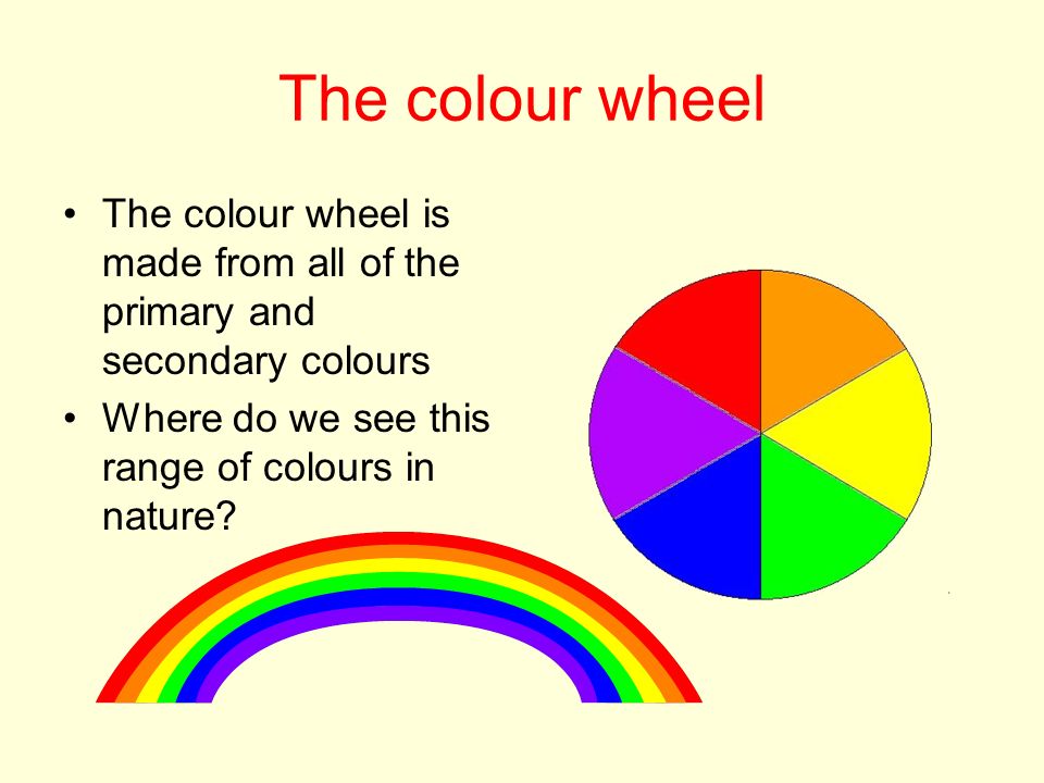 The colour wheel The colour wheel is made from all of the primary and secondary colours Where do we see this range of colours in nature