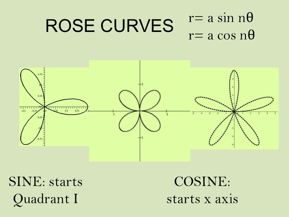 Classical Curves. ROSE CURVES r= a sin n θ r= a cos n θ SINE: starts  Quadrant I COSINE: starts x axis. - ppt download
