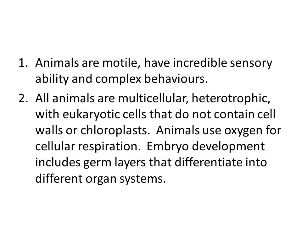 The Animals Pages Animals are motile, have incredible sensory ability and  complex behaviours.  animals are multicellular, heterotrophic, - ppt  download