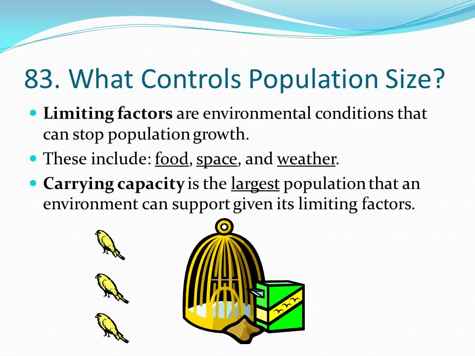 83. What Controls Population Size.